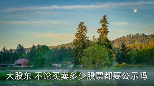 大股东 不论买卖多少股票都要公示吗