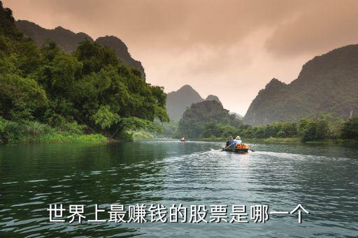 什么股票里面有钱，今年买什么股票有钱挣