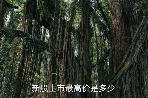 新股上市最高价是多少