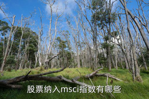 股票纳入msci指数有哪些