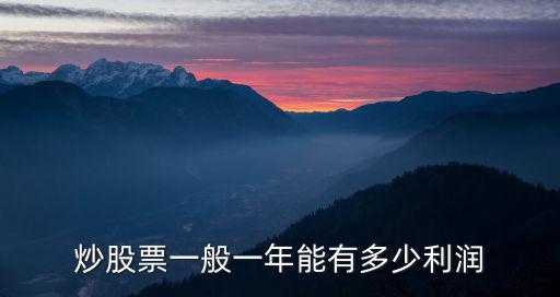 炒股票一般一年能有多少利润