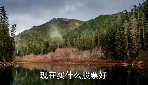 现在买什么股票好