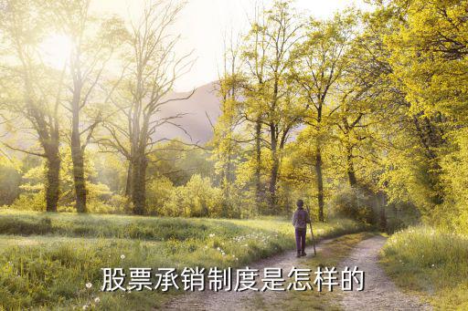 股票承销制度是怎样的
