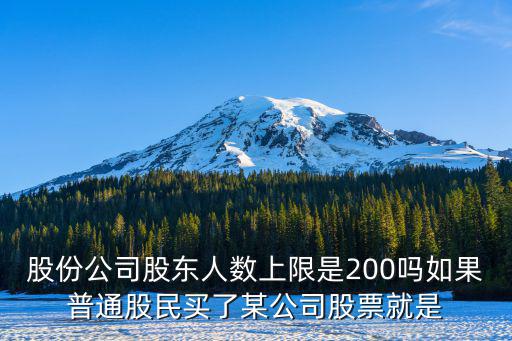股份公司股东人数上限是200吗如果普通股民买了某公司股票就是