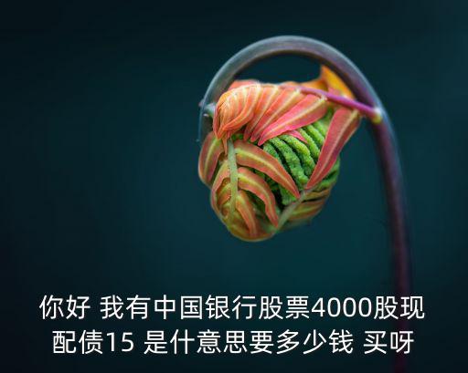 现在有多少股票配债，持有10000股债转股的股票可以配多少股