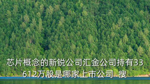 芯片属于什么指数股票，华为的芯片股票是哪个