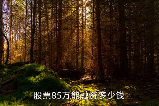 股票85万能融资多少钱
