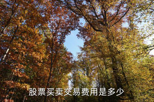 股票买卖交易费用是多少