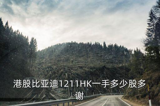比亚迪股票多少股起售，比亚迪股票现在多少钱一股