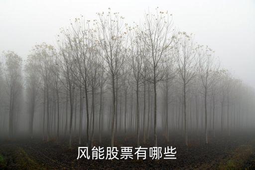 风能股票有哪些