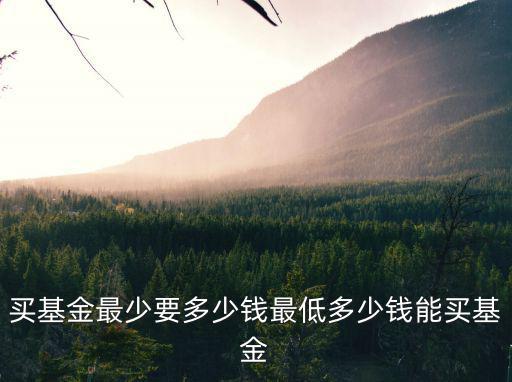 买基金最少要多少钱最低多少钱能买基金