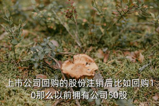 格力回购了多少股票注销，上市公司回购的股份注销后比如回购10那么以前拥有公司50股