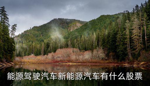 能源驾驶汽车新能源汽车有什么股票
