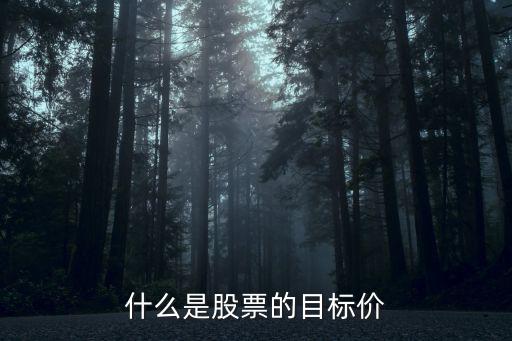 什么是股票的目标价