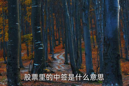 股票中签是什么回事，股票中签是什么意思