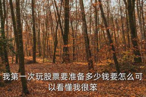 我第一次玩股票要准备多少钱要怎么可以看懂我很笨