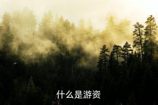 什么是游资