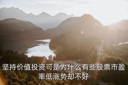 坚持价值投资可是为什么有些股票市盈率低涨势却不好