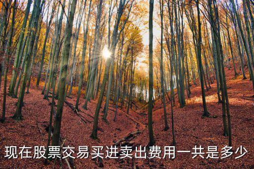 现在股票交易买进卖出费用一共是多少