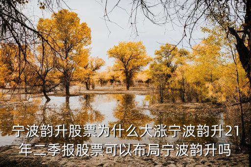 宁波韵升股票为什么大涨宁波韵升21年二季报股票可以布局宁波韵升吗
