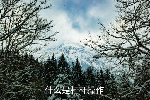 什么是杠杆操作