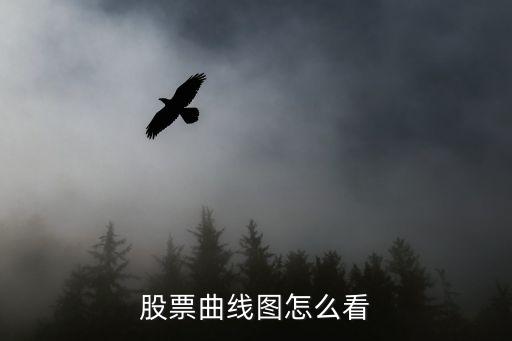 股票曲线图怎么看