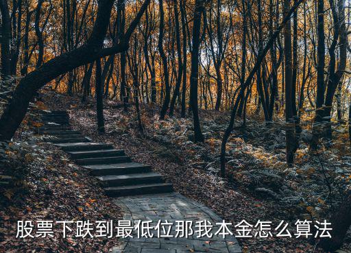 股票下跌到最低位那我本金怎么算法