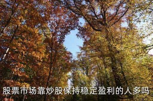 股票市场靠炒股保持稳定盈利的人多吗