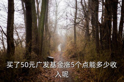买了50元广发基金涨5个点能多少收入呢