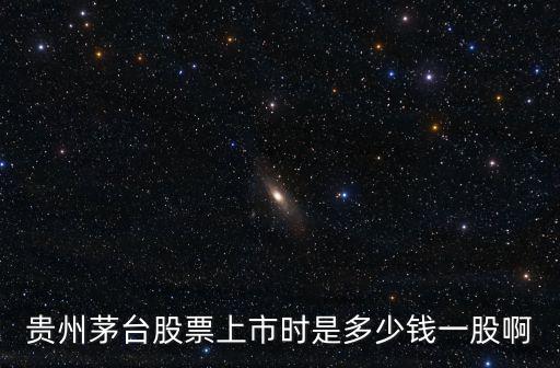贵州茅台股票上市时是多少钱一股啊