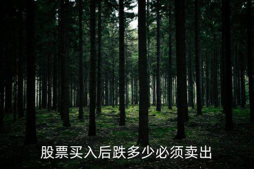 股票买入后跌多少必须卖出