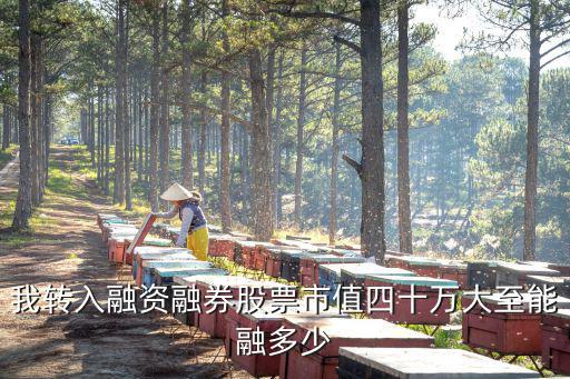我转入融资融券股票市值四十万大至能融多少