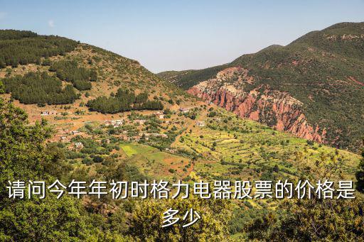 请问今年年初时格力电器股票的价格是多少