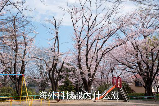 为什么海外股票反弹，海外科技股为什么涨