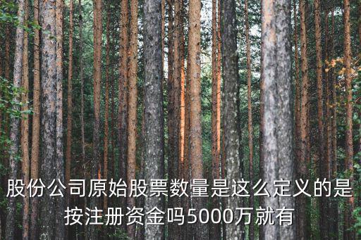 股份公司原始股票数量是这么定义的是按注册资金吗5000万就有