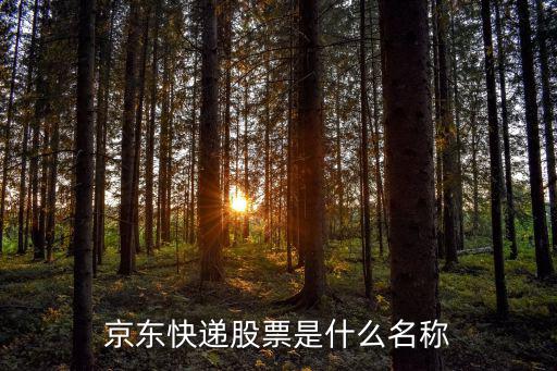 京东股票是多少号，京东的股票代码是多少