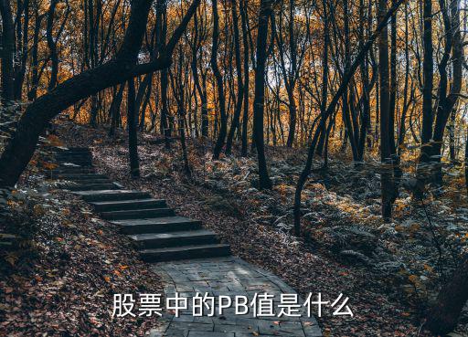 pb 什么意思股票，股市中的股脂pb是什么意思