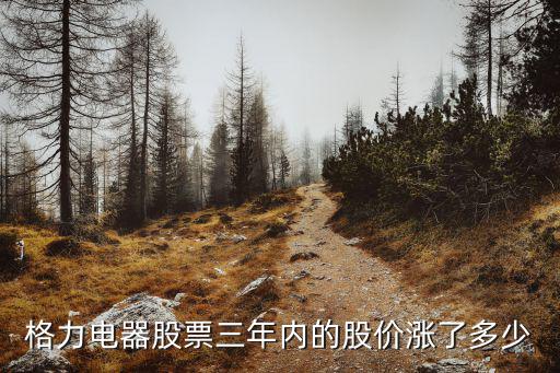 格力电器股票三年内的股价涨了多少