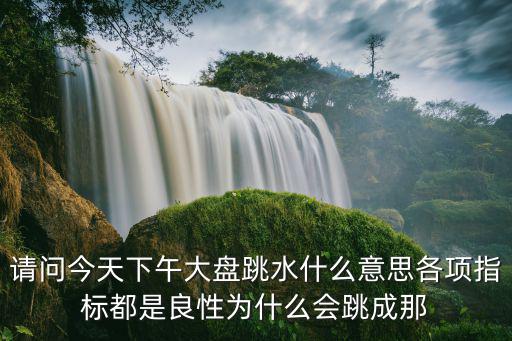 请问今天下午大盘跳水什么意思各项指标都是良性为什么会跳成那