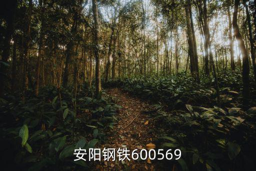 安阳钢铁600569