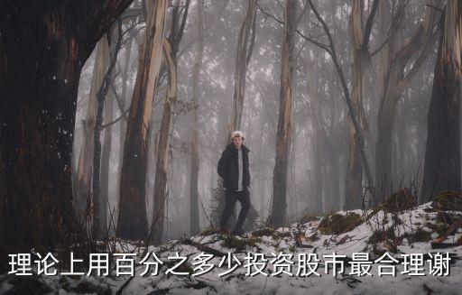 理论上用百分之多少投资股市最合理谢