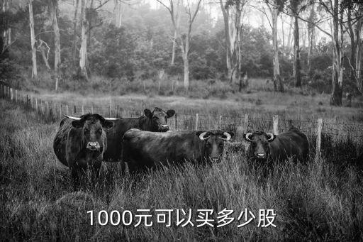 1000元可以买多少股