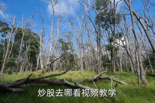 炒股去哪看视频教学