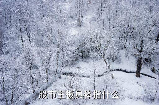 股市主板具体指什么