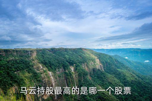 马云持股最高的是哪一个股票