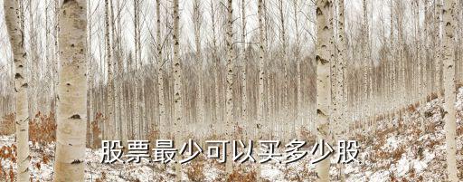 股票最低能买多少支，股票最少买多少股
