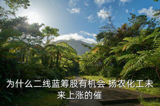 为什么二线蓝筹股有机会 扬农化工未来上涨的催