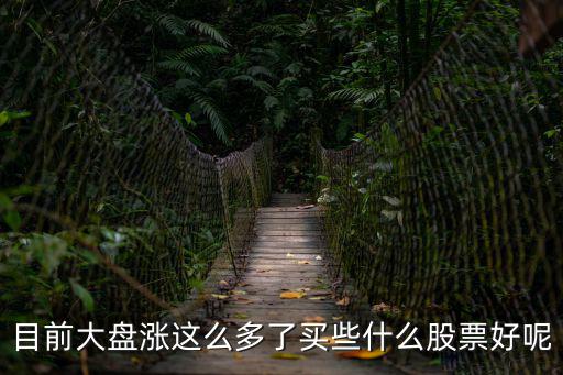 大涨之后买什么股票，目前大盘涨这么多了买些什么股票好呢