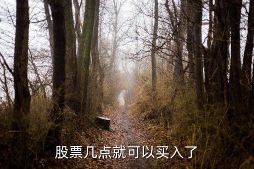 股票开盘多少点能买入，股票几点就可以买入了
