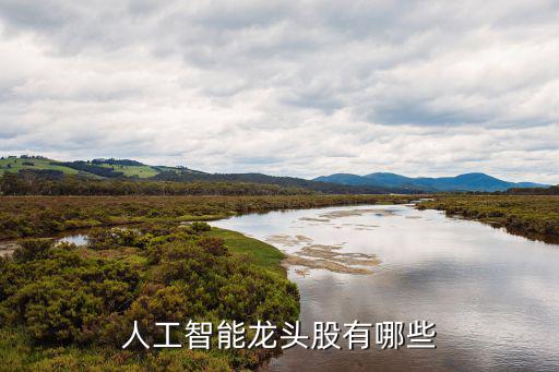 人工智能龙头股有哪些